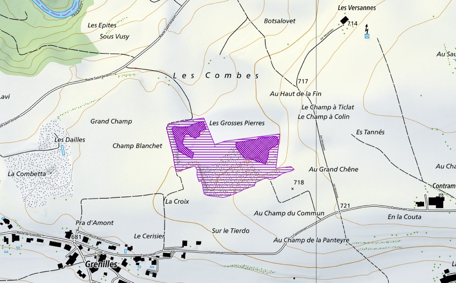 swisstopo national map showing the protected perimeter of Contramont (Amphibian spawning site)