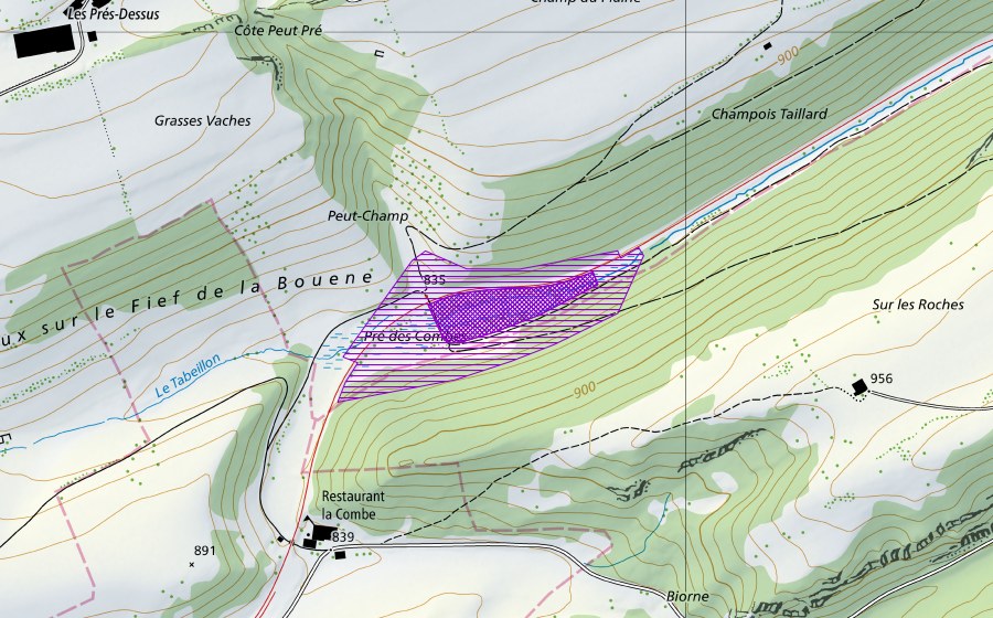 Landeskarte swisstopo mit dem Schutzperimeter von Côte d'Oye (Amphibienlaichgebiet)