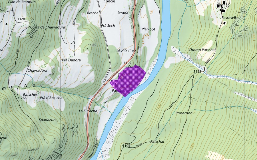Carte nationale swisstopo avec le périmètre protégé de Craistas (Site de reproduction de batraciens)