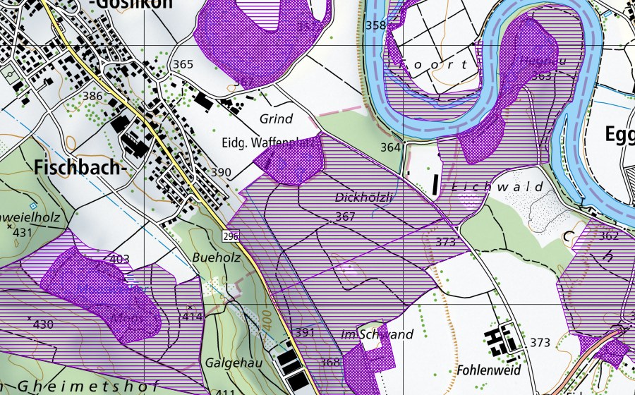 swisstopo national map showing the protected perimeter of Dickhölzli (Amphibian spawning site)