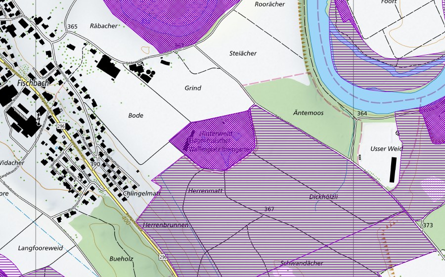 swisstopo national map showing the protected perimeter of Dickhölzli (Amphibian spawning site)