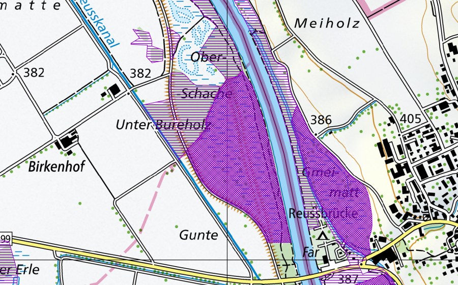 Landeskarte swisstopo mit dem Schutzperimeter von Dorfrüti (Amphibienlaichgebiet)