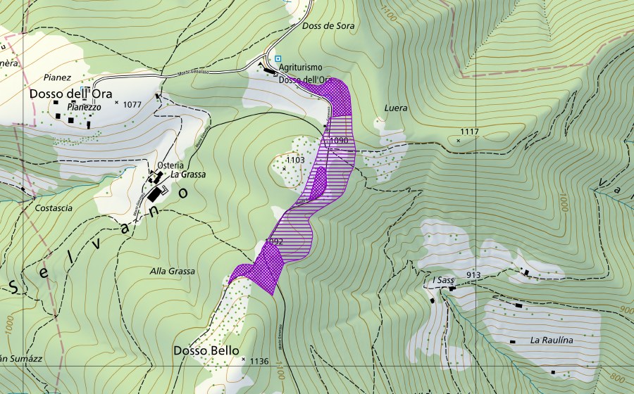 Landeskarte swisstopo mit dem Schutzperimeter von Dosso dell'Ora-Dosso Bello (Amphibienlaichgebiet)