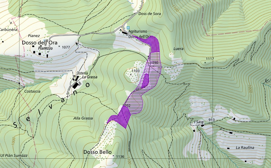 Landeskarte swisstopo mit dem Schutzperimeter von Dosso dell'Ora-Dosso Bello (Amphibienlaichgebiet)