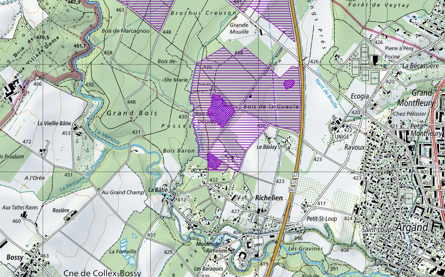 Landeskarte swisstopo mit dem Schutzperimeter von Douves (Amphibienlaichgebiet)