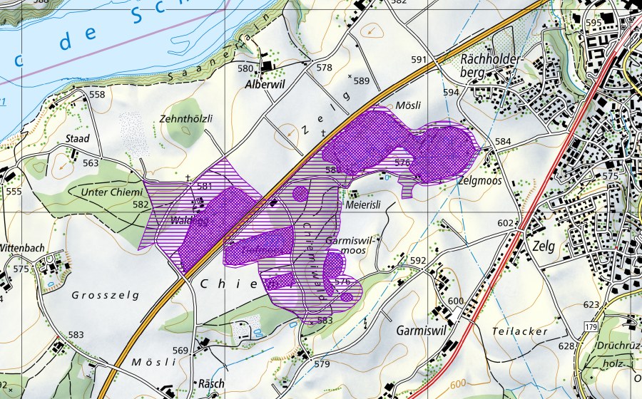 Carte nationale swisstopo avec le périmètre protégé de Düdingermoos (Site de reproduction de batraciens)