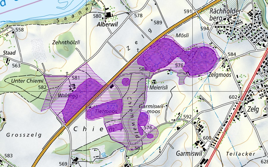 Landeskarte swisstopo mit dem Schutzperimeter von Düdingermoos (Amphibienlaichgebiet)