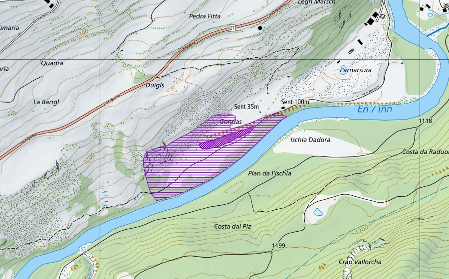 Landeskarte swisstopo mit dem Schutzperimeter von Duigls (Amphibienlaichgebiet)