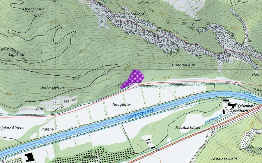 Carte nationale swisstopo avec le périmètre protégé de Dunkeläuli (Site de reproduction de batraciens)