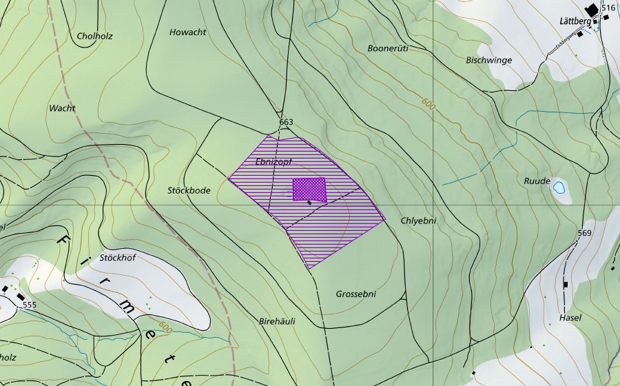 Landeskarte swisstopo mit dem Schutzperimeter von Ebni (Amphibienlaichgebiet)