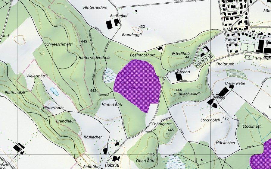 Landeskarte swisstopo mit dem Schutzperimeter von Egelmoos (Amphibienlaichgebiet)