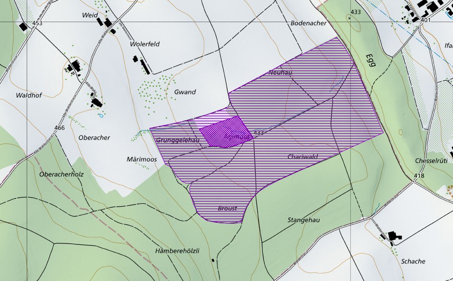 Landeskarte swisstopo mit dem Schutzperimeter von Eggimoos (Amphibienlaichgebiet)