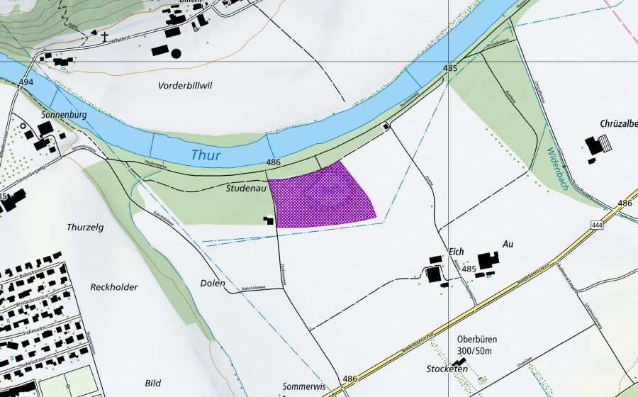 Carte nationale swisstopo avec le périmètre protégé de Ehemalige Kiesgrube Au (Site de reproduction de batraciens)