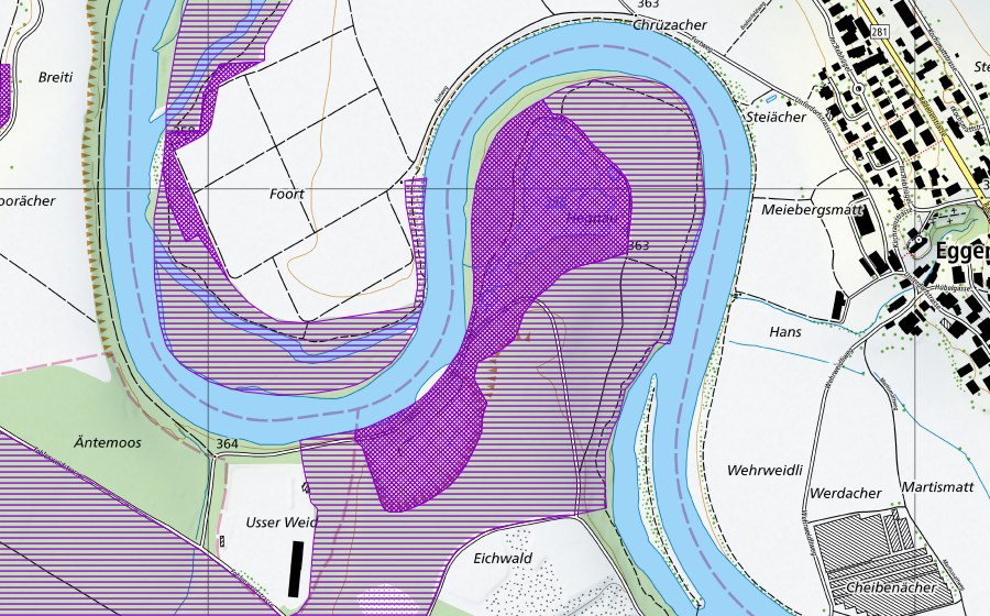 swisstopo national map showing the protected perimeter of Eichholz-Hegnau (Amphibian spawning site)