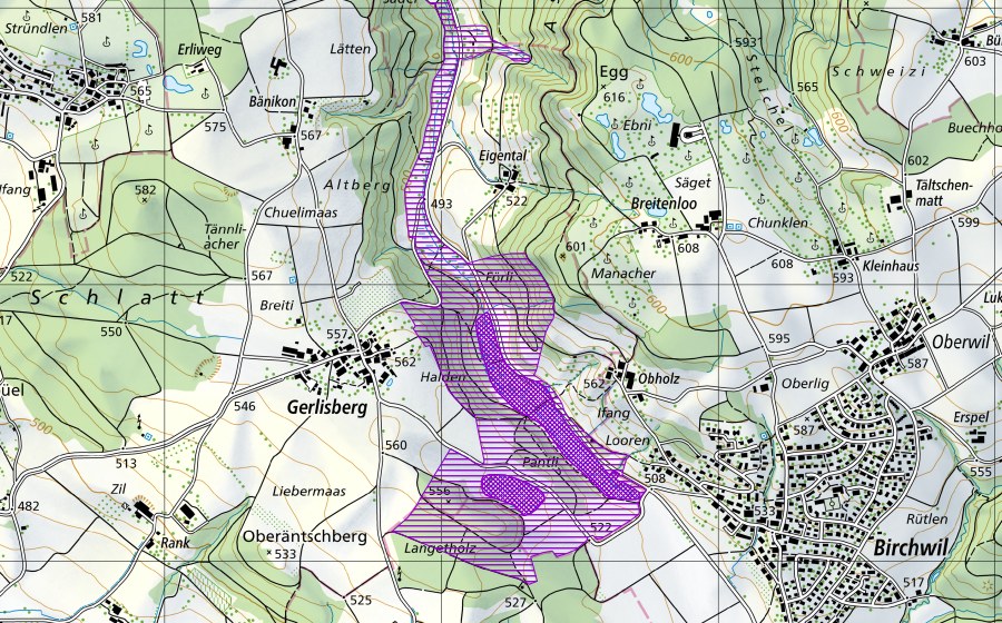 Carta nazionale swisstopo con il perimetro protetto di Eigental, Pantliried (Sito di riproduzione di anfibi)