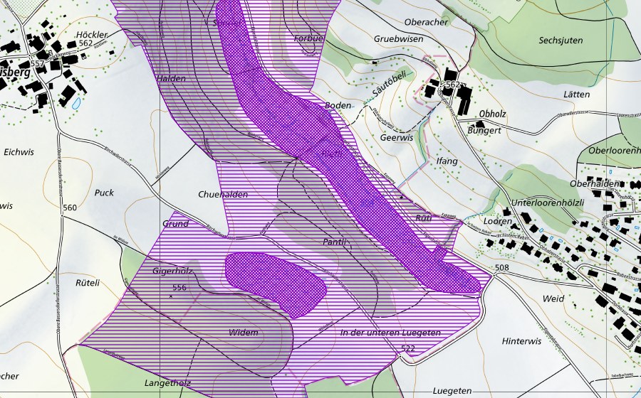 swisstopo national map showing the protected perimeter of Eigental, Pantliried (Amphibian spawning site)