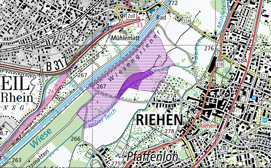 Carta nazionale swisstopo con il perimetro protetto di Eisweiher und Wiesenmatten (Sito di riproduzione di anfibi)