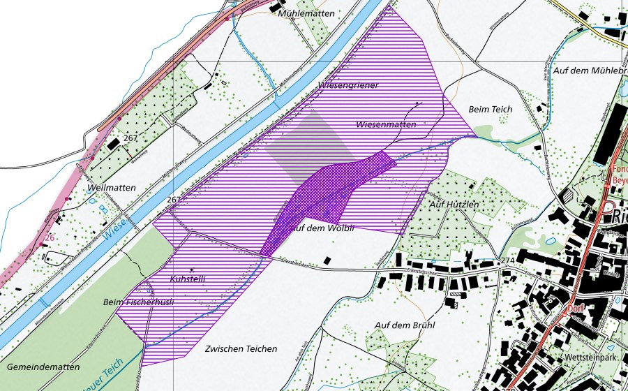 Carte nationale swisstopo avec le périmètre protégé de Eisweiher und Wiesenmatten (Site de reproduction de batraciens)