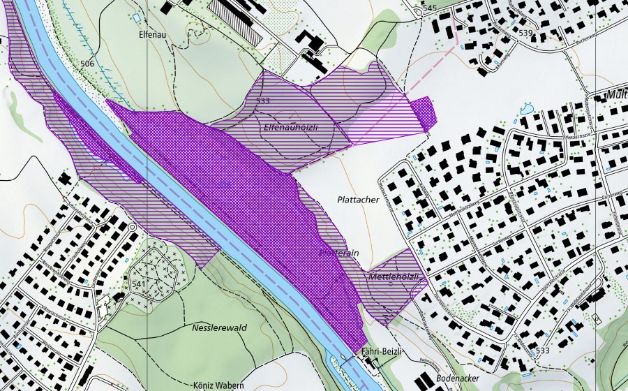 Carte nationale swisstopo avec le périmètre protégé de Elfenaureservat (Site de reproduction de batraciens)