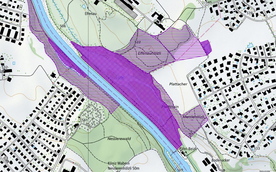 Carte nationale swisstopo avec le périmètre protégé de Elfenaureservat (Site de reproduction de batraciens)
