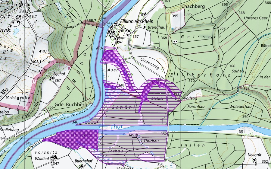 Landeskarte swisstopo mit dem Schutzperimeter von Elliker Auen (Amphibienlaichgebiet)