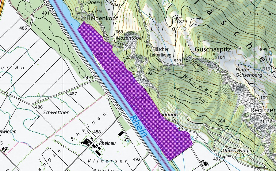 Landeskarte swisstopo mit dem Schutzperimeter von Ellwald (Amphibienlaichgebiet)