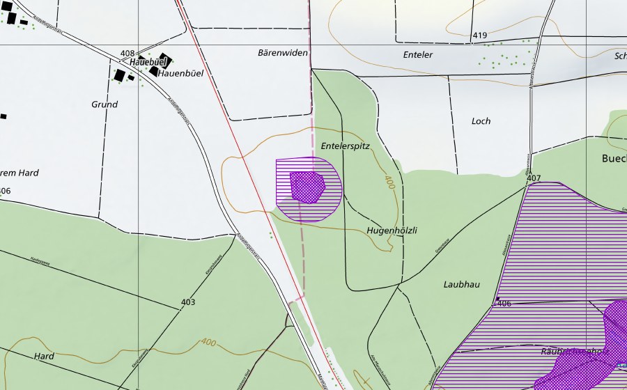 Landeskarte swisstopo mit dem Schutzperimeter von Enteler-Weiher (Amphibienlaichgebiet)