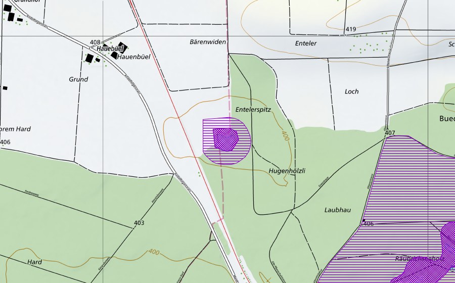 swisstopo national map showing the protected perimeter of Enteler-Weiher (Amphibian spawning site)