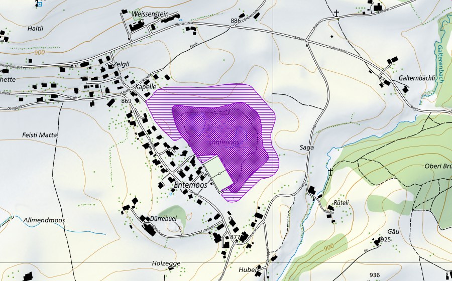 Landeskarte swisstopo mit dem Schutzperimeter von Entenmoos (Amphibienlaichgebiet)