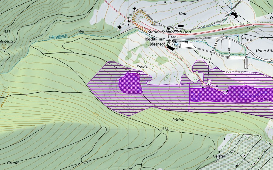 Landeskarte swisstopo mit dem Schutzperimeter von Eriwis (Amphibienlaichgebiet)