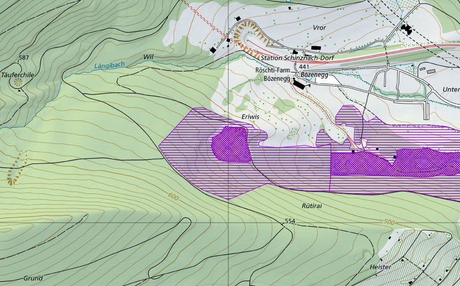 swisstopo national map showing the protected perimeter of Eriwis (Amphibian spawning site)