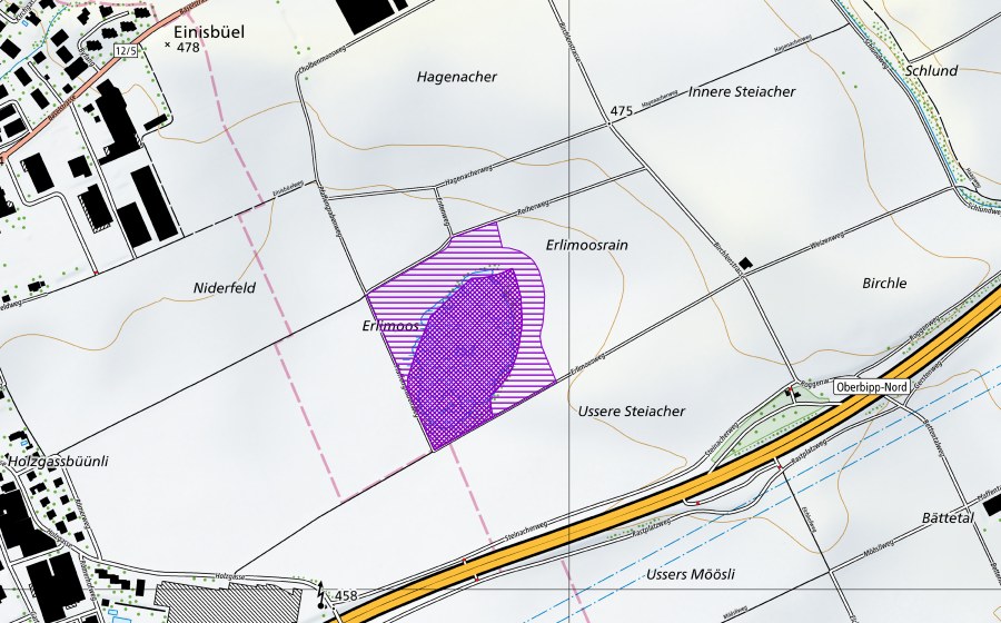 Landeskarte swisstopo mit dem Schutzperimeter von Erlimoos (Amphibienlaichgebiet)