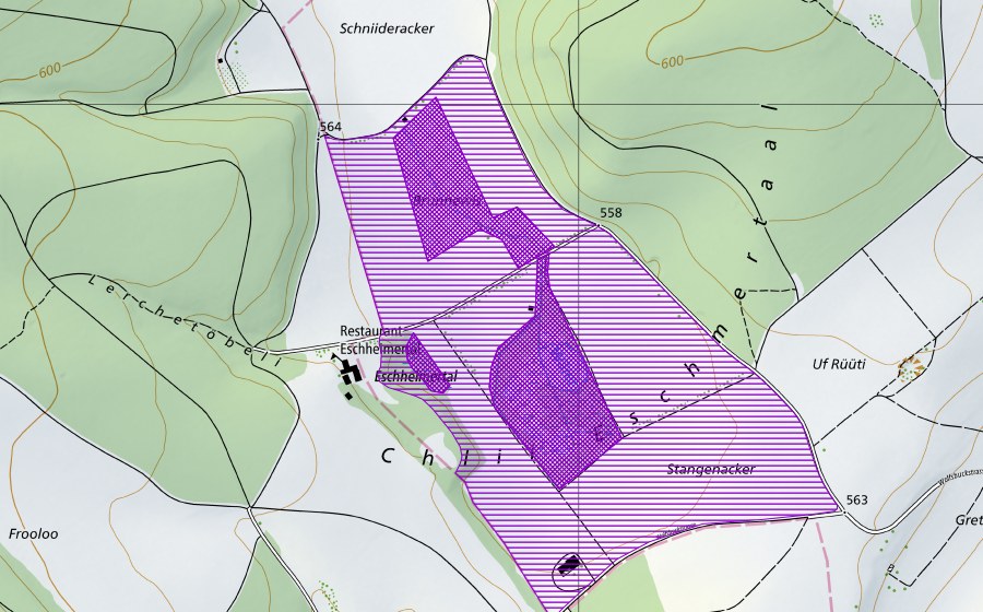 Carta nazionale swisstopo con il perimetro protetto di Eschheimer Weiher (Sito di riproduzione di anfibi)