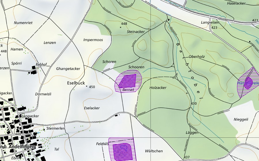 Landeskarte swisstopo mit dem Schutzperimeter von Eselacherried (Amphibienlaichgebiet)