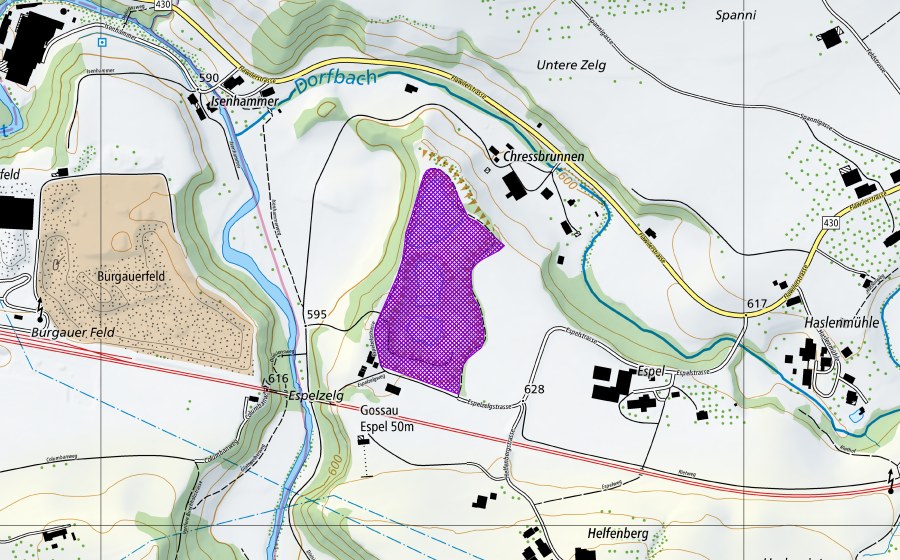 Landeskarte swisstopo mit dem Schutzperimeter von Espel (Amphibienlaichgebiet)