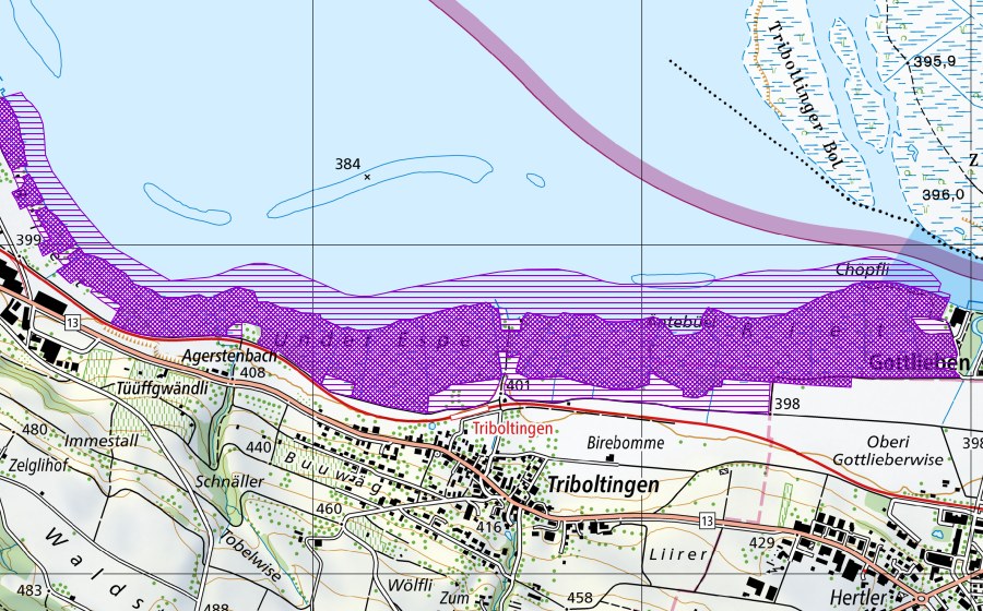Landeskarte swisstopo mit dem Schutzperimeter von Espen Riet (Amphibienlaichgebiet)