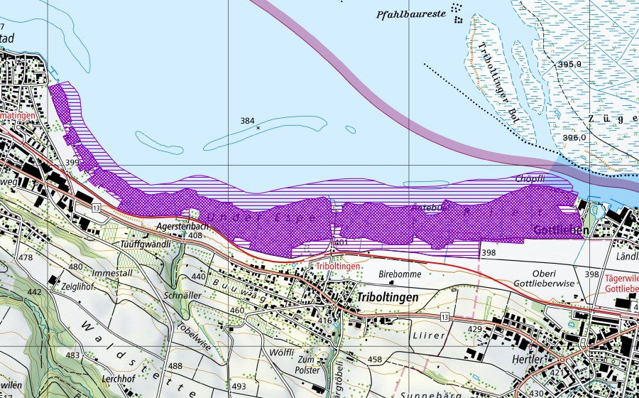 swisstopo national map showing the protected perimeter of Espen Riet (Amphibian spawning site)