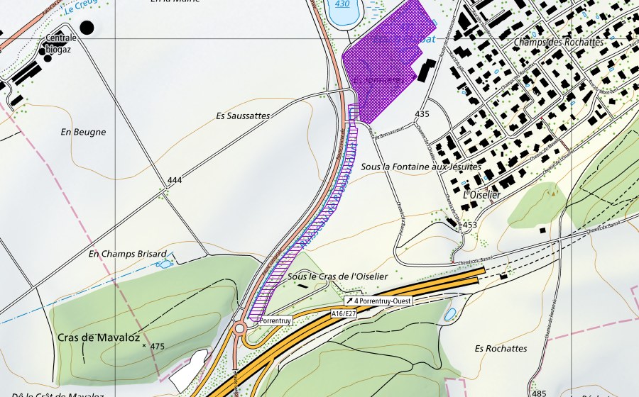 Landeskarte swisstopo mit dem Schutzperimeter von Etang Corbat (Amphibienlaichgebiet)