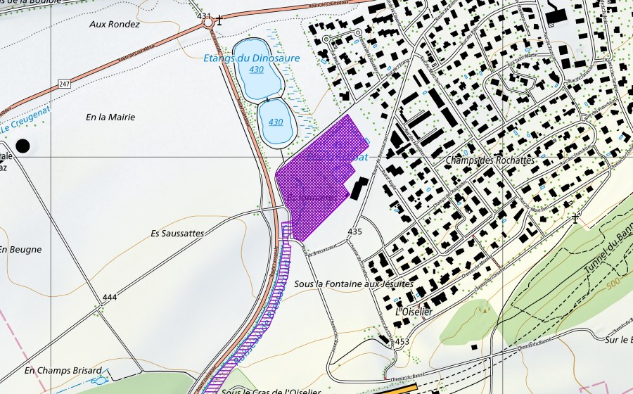 Carte nationale swisstopo avec le périmètre protégé de Etang Corbat (Site de reproduction de batraciens)