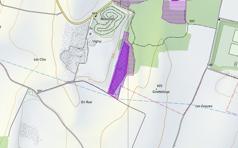 Landeskarte swisstopo mit dem Schutzperimeter von Etang de Vigny (Amphibienlaichgebiet)
