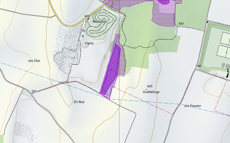 swisstopo national map showing the protected perimeter of Etang de Vigny (Amphibian spawning site)