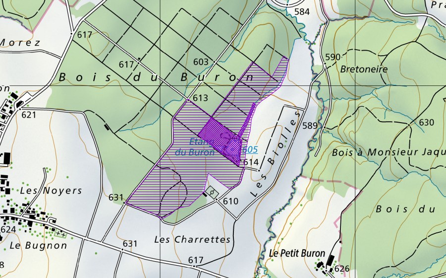Carte nationale swisstopo avec le périmètre protégé de Etang du Buron, Les Bioles (Site de reproduction de batraciens)