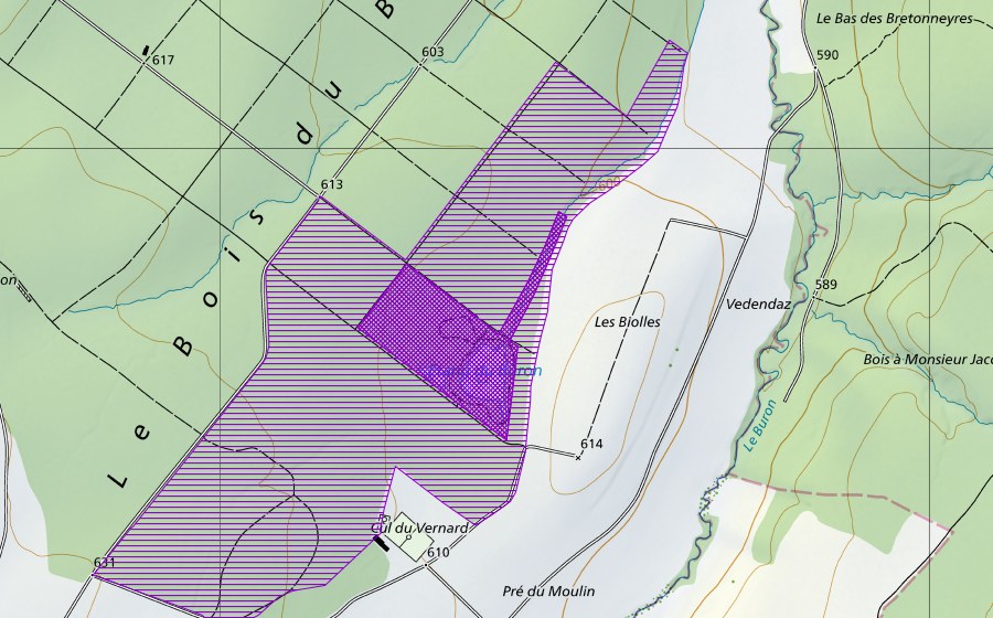 Landeskarte swisstopo mit dem Schutzperimeter von Etang du Buron, Les Bioles (Amphibienlaichgebiet)