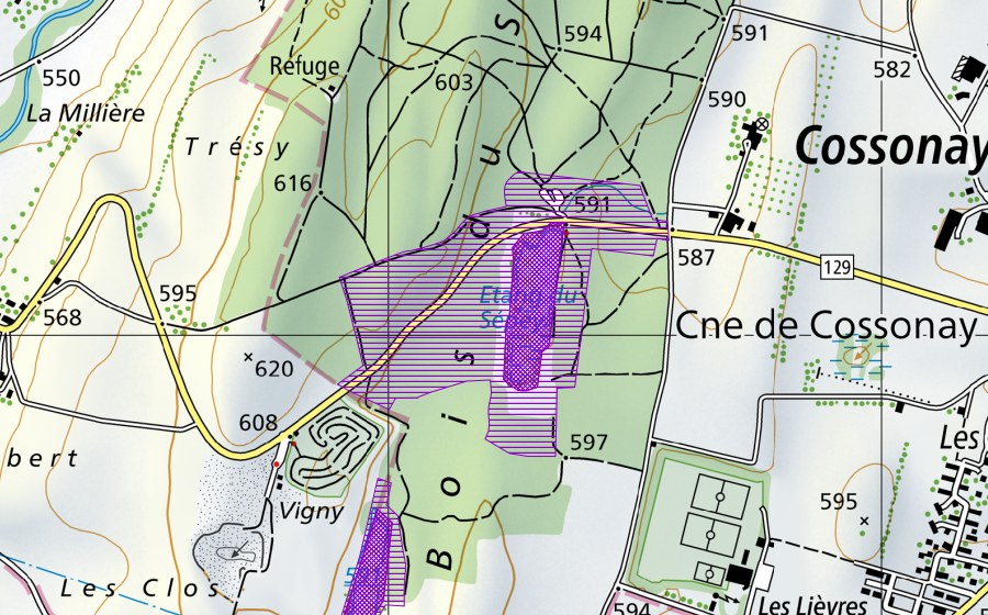 swisstopo national map showing the protected perimeter of Etang du Sépey (Amphibian spawning site)