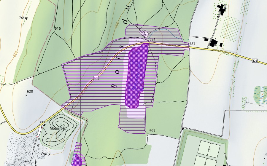 Landeskarte swisstopo mit dem Schutzperimeter von Etang du Sépey (Amphibienlaichgebiet)