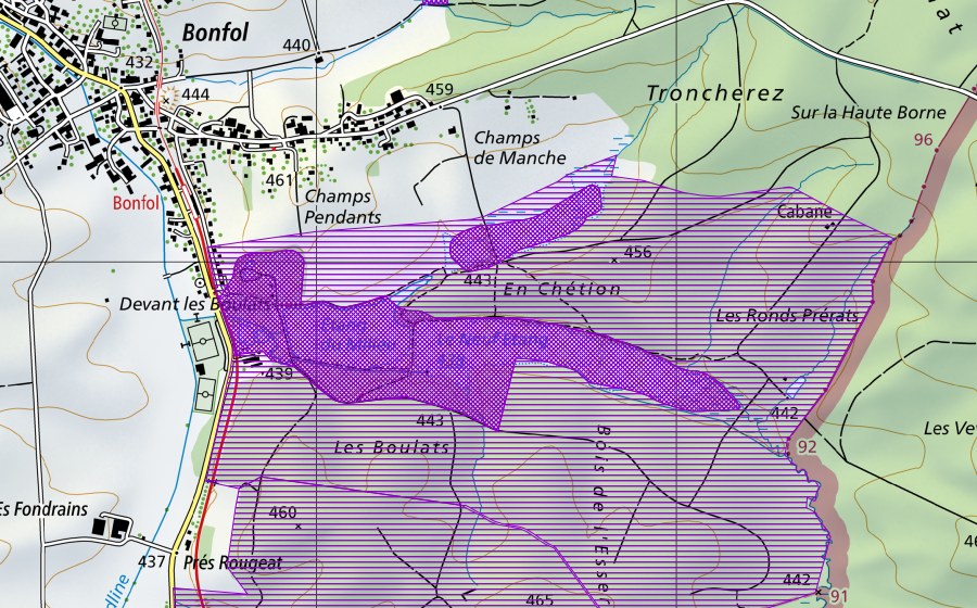 Landeskarte swisstopo mit dem Schutzperimeter von Etangs de Bonfol (Amphibienlaichgebiet)