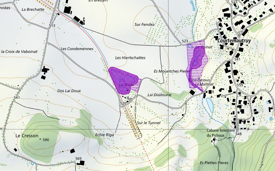 Landeskarte swisstopo mit dem Schutzperimeter von Etangs de La Nods (Amphibienlaichgebiet)