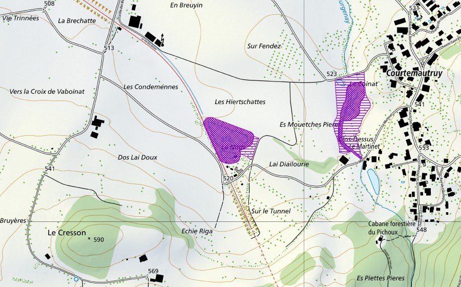 Landeskarte swisstopo mit dem Schutzperimeter von Etangs de La Nods (Amphibienlaichgebiet)