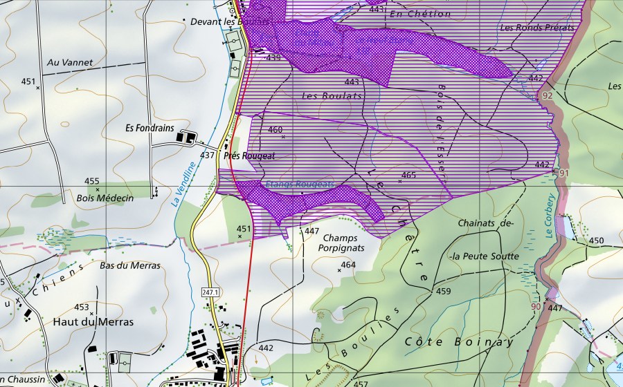 swisstopo national map showing the protected perimeter of Etangs Rougeat (Amphibian spawning site)