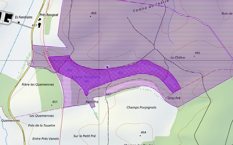Landeskarte swisstopo mit dem Schutzperimeter von Etangs Rougeat (Amphibienlaichgebiet)